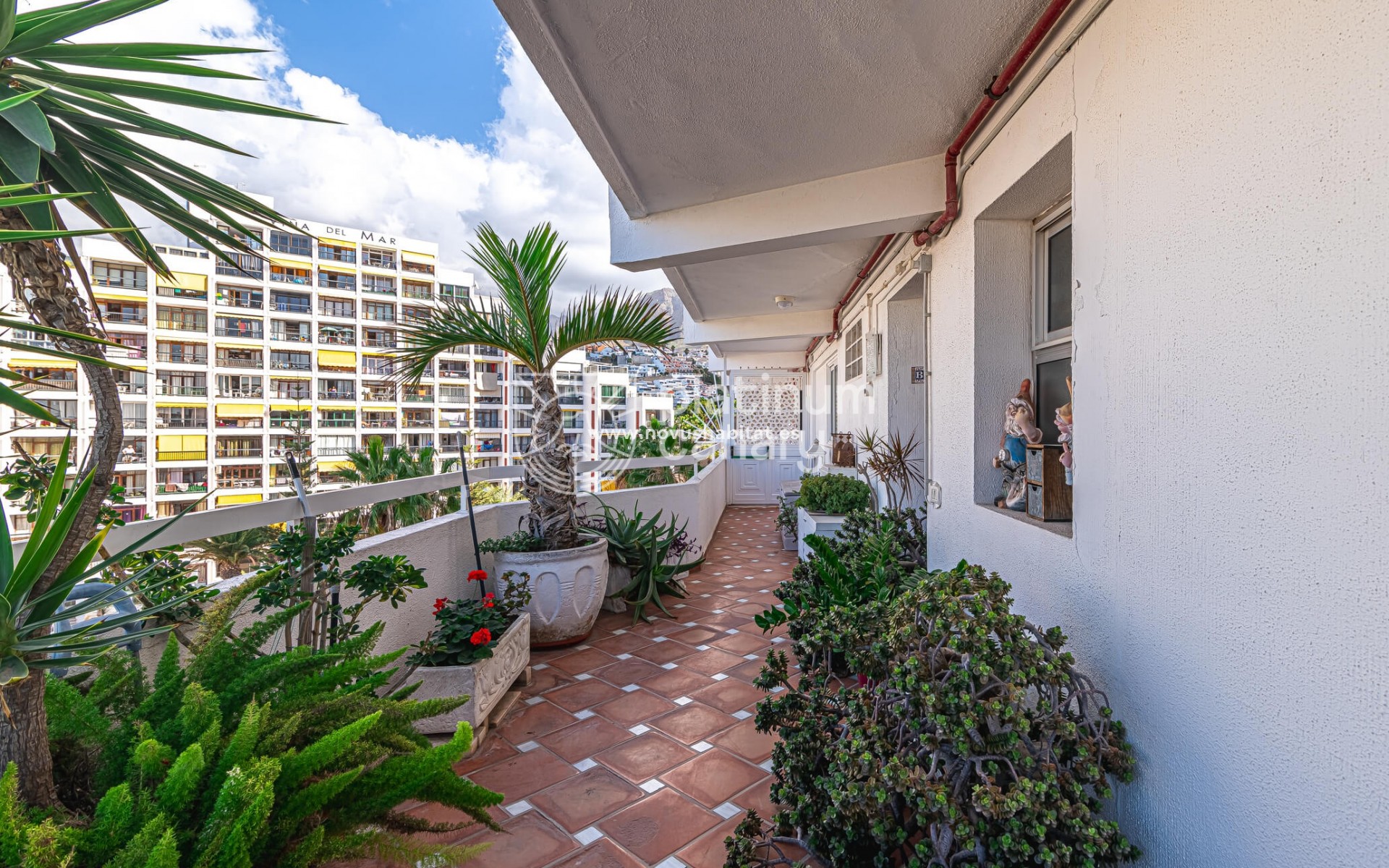 Sprzedaż - Apartament - Adeje - Santa Cruz Tenerife