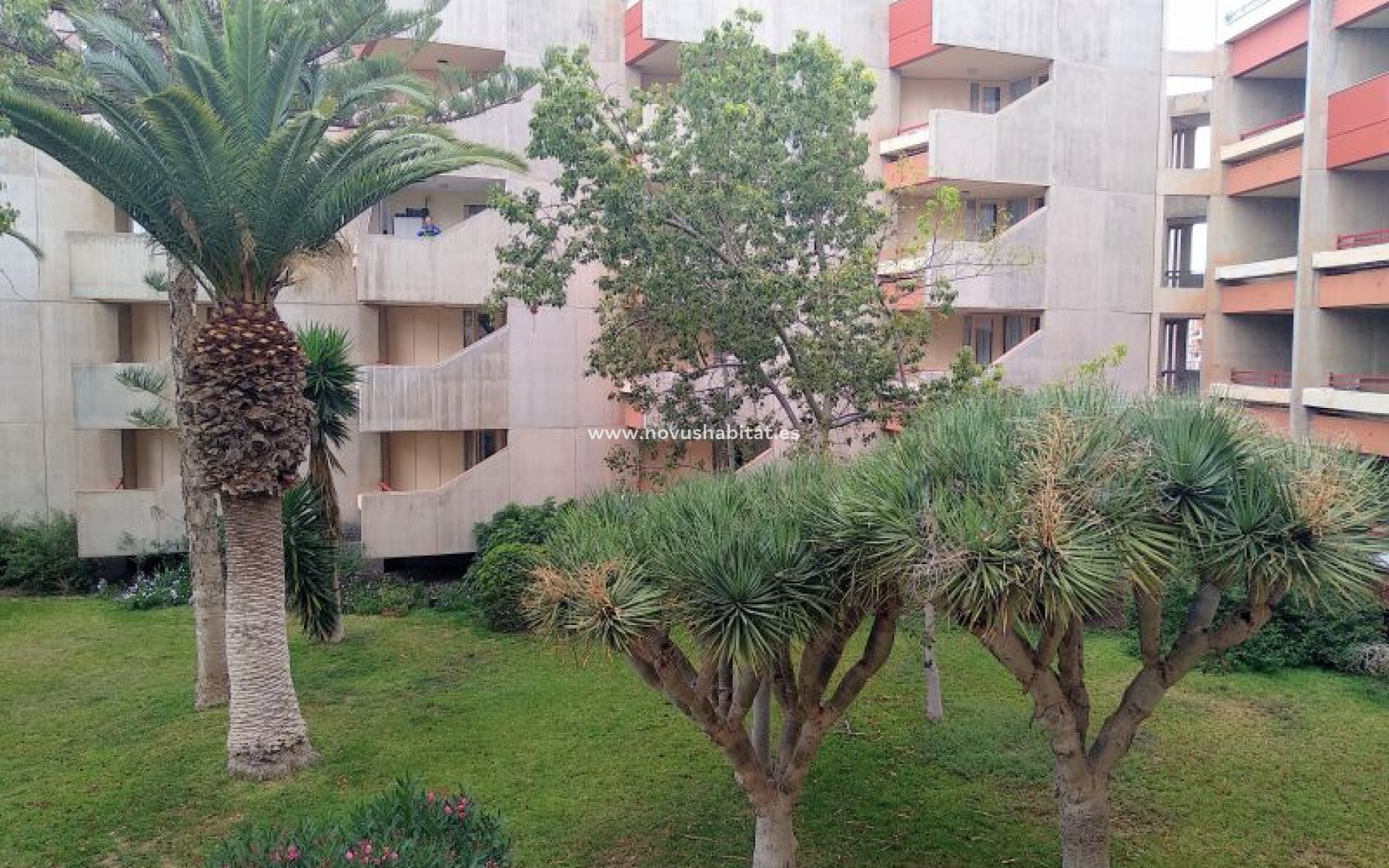 Sprzedaż - Apartament - Costa Del Silencio - Alborada Costa Del Silencio Tenerife