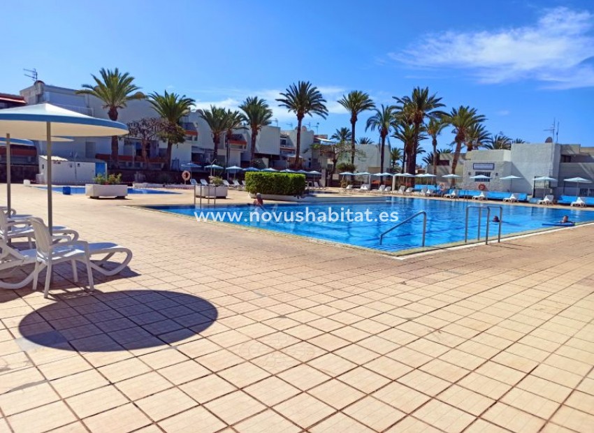 Sprzedaż - Apartament - Costa Del Silencio - Primavera Costa Del Silencio Tenerife