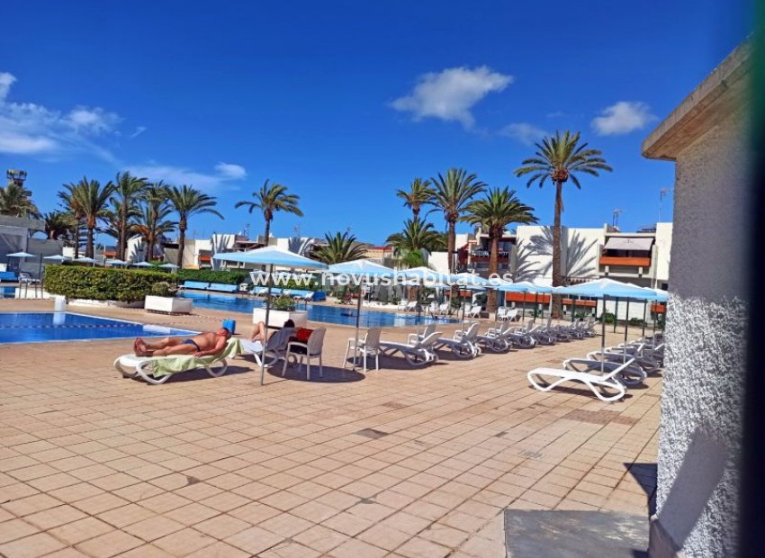 Sprzedaż - Apartament - Costa Del Silencio - Primavera Costa Del Silencio Tenerife