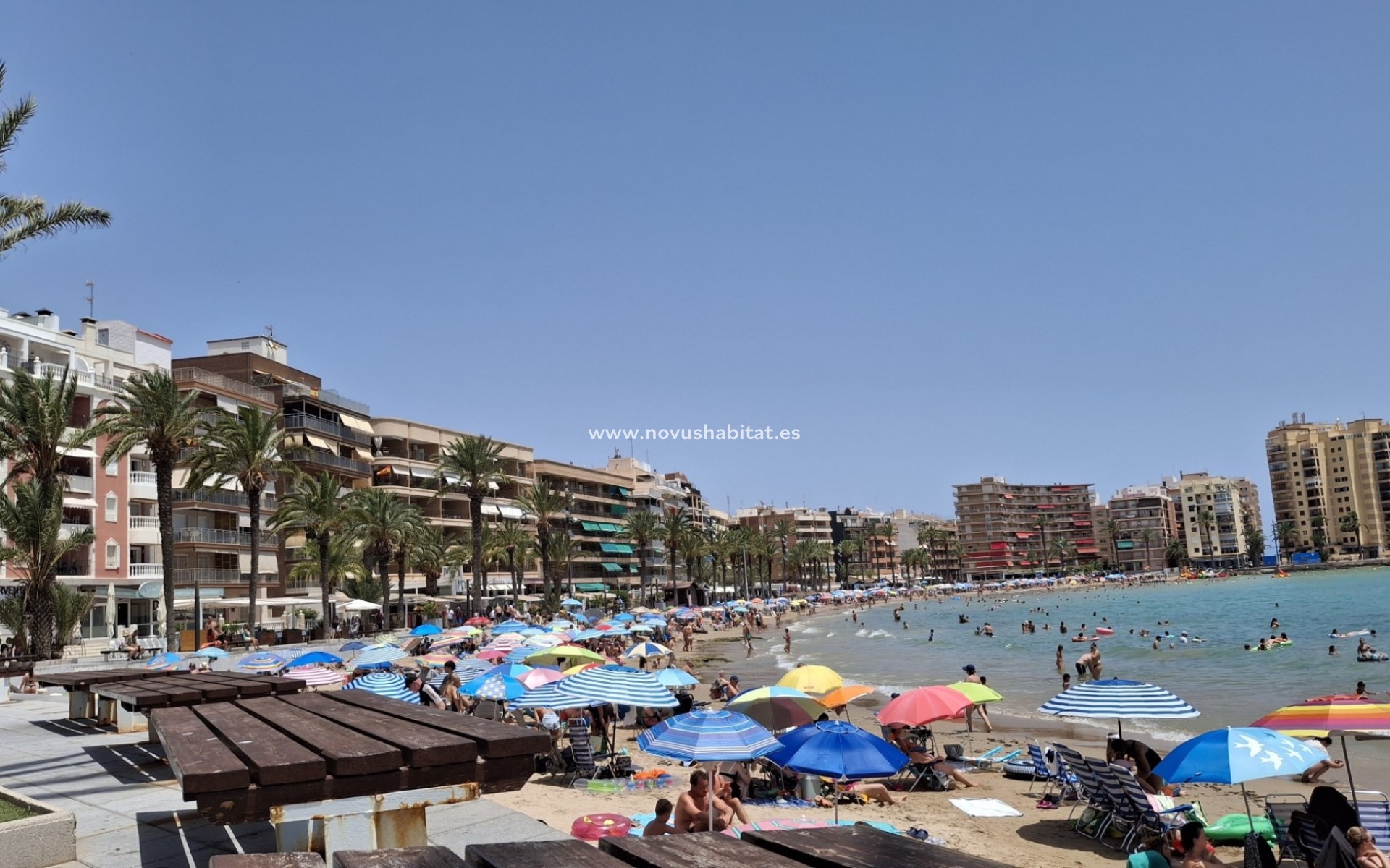 Sprzedaż - Apartament / Duplex - Torrevieja