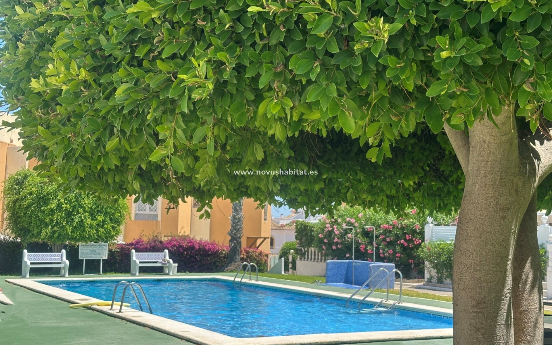 Sprzedaż - Apartament - La Mata