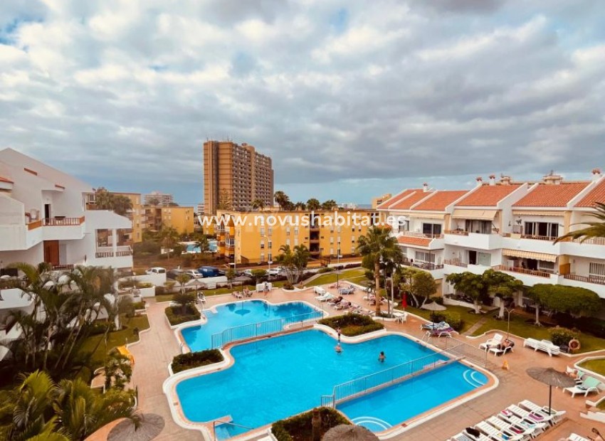 Sprzedaż - Apartament - Los Cristianos - Cristian Sur Los Cristianos Tenerife