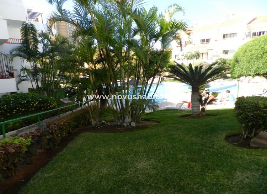 Sprzedaż - Apartament - Los Cristianos - Cristian Sur Los Cristianos Tenerife