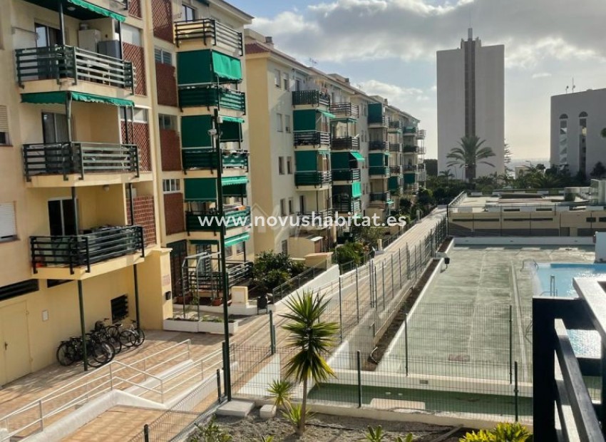 Sprzedaż - Apartament - Los Cristianos - Cristimar Los Cristianos Tenerife