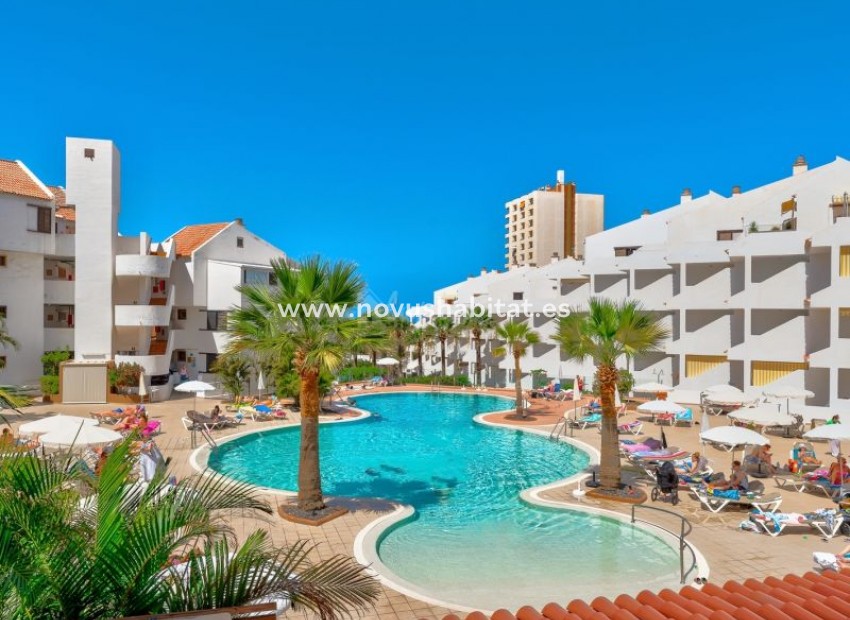 Sprzedaż - Apartament - Los Cristianos - Paloma Beach Los Cristianos Tenerife