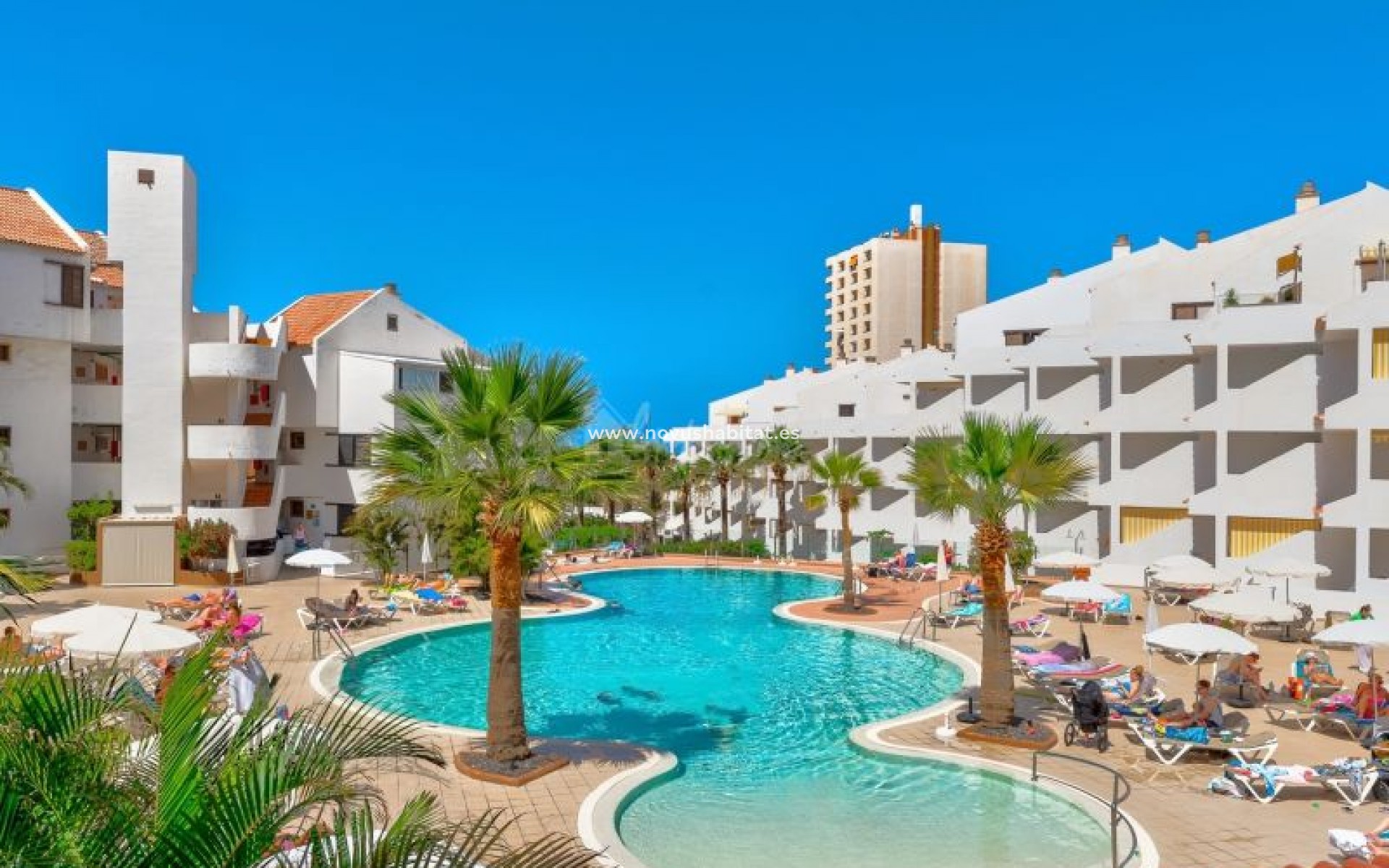 Sprzedaż - Apartament - Los Cristianos - Paloma Beach Los Cristianos Tenerife