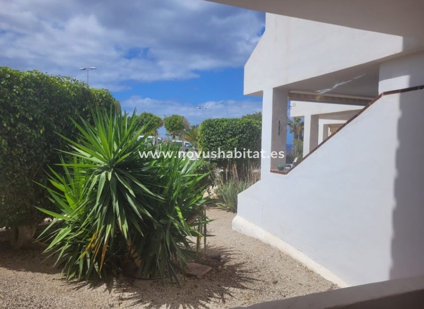 Sprzedaż - Apartament - Los Cristianos - Paloma Beach Los Cristianos Tenerife