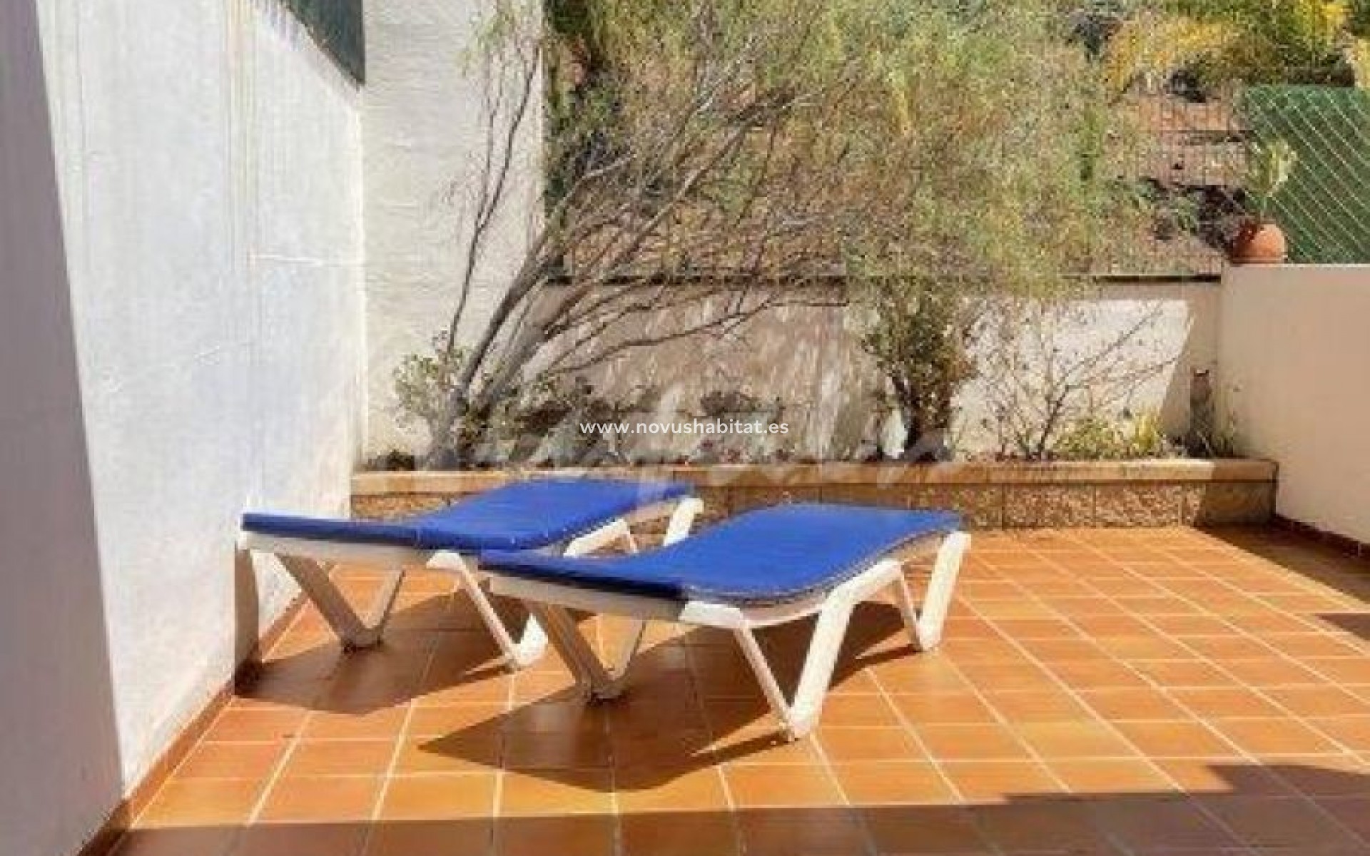 Sprzedaż - Apartament - Los Cristianos - Victoria Court II Los Cristianos Tenerife