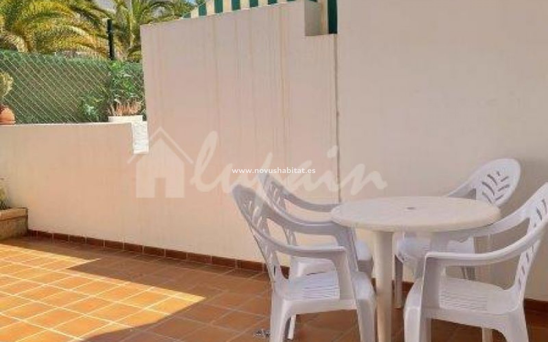 Sprzedaż - Apartament - Los Cristianos - Victoria Court II Los Cristianos Tenerife