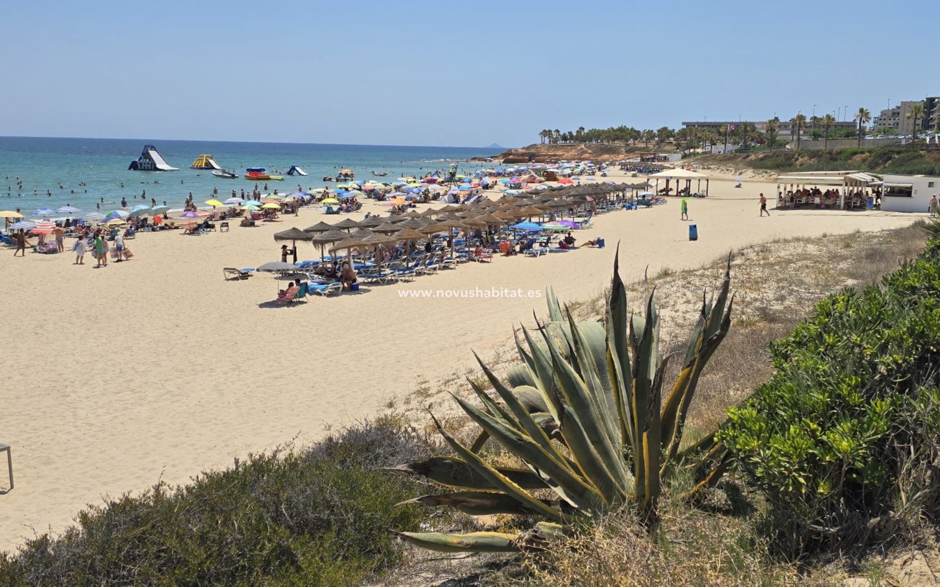 Sprzedaż - Apartament - Orihuela Costa - Mil Palmeras