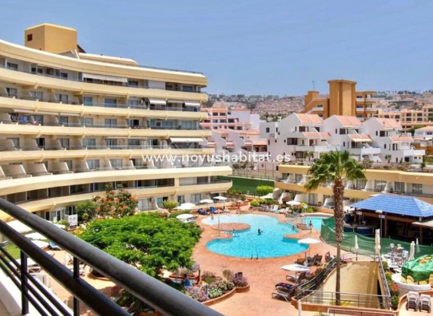 Sprzedaż - Apartament - San Eugenio - Santa Maria San Eugenio Tenerife