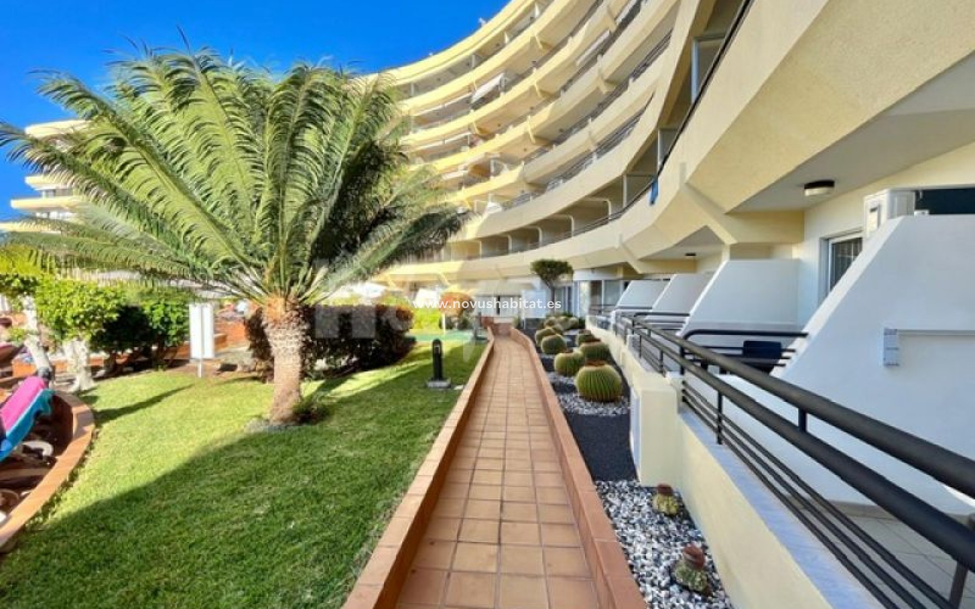 Sprzedaż - Apartament - San Eugenio - Santa Maria San Eugenio Tenerife