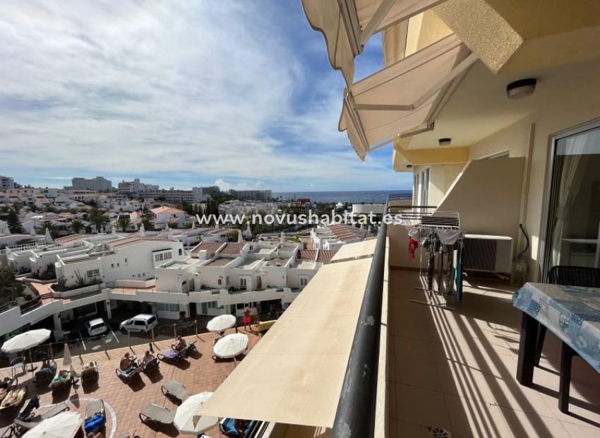 Sprzedaż - Apartament - San Eugenio - Santa Maria San Eugenio Tenerife