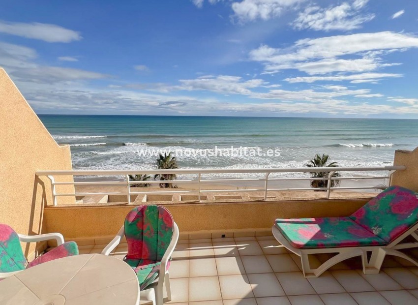 Sprzedaż - Apartament - Torrevieja - La Mata Pueblo