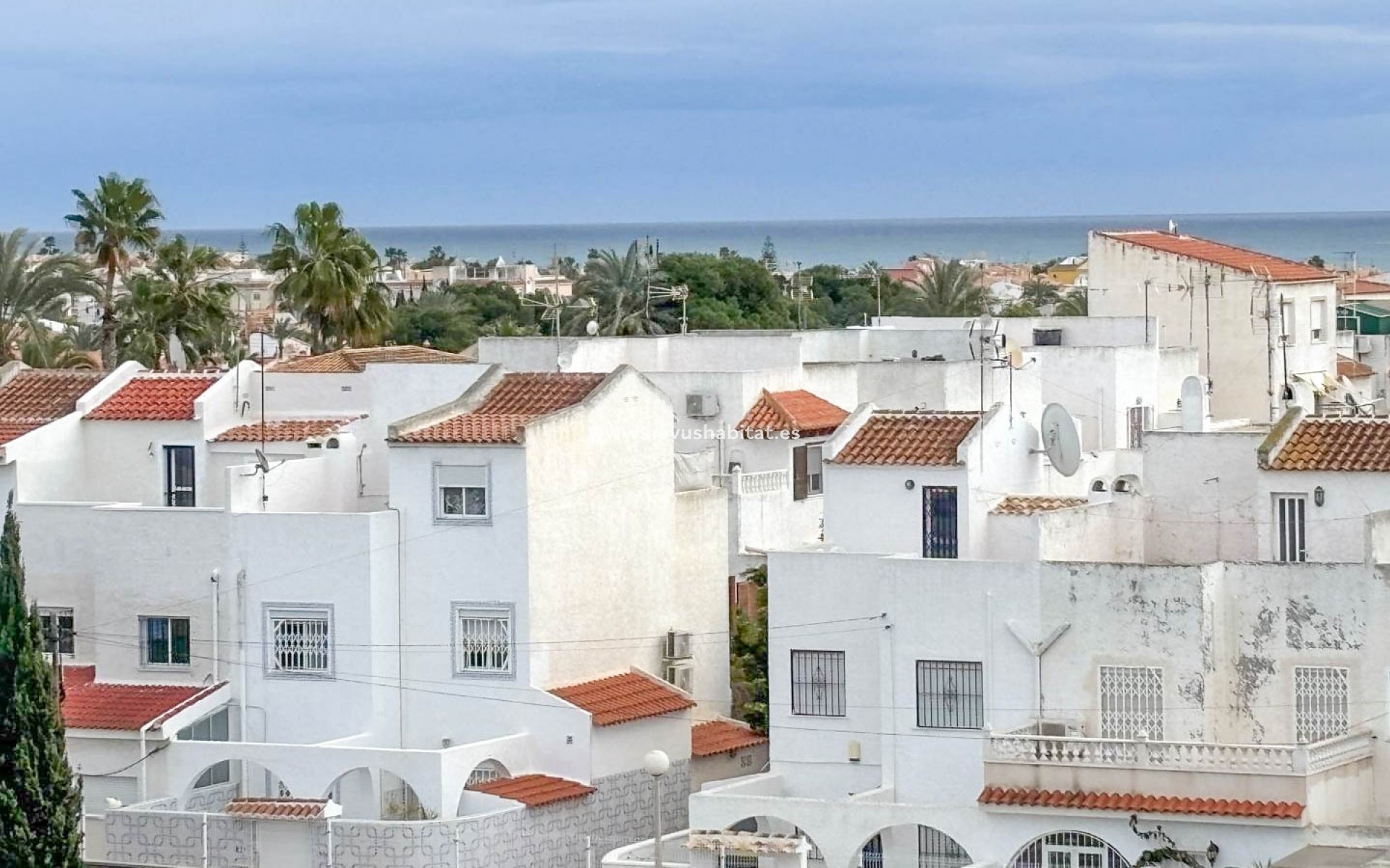 Sprzedaż - Apartament - Torrevieja - Nueva Torrevieja - Aguas Nuevas