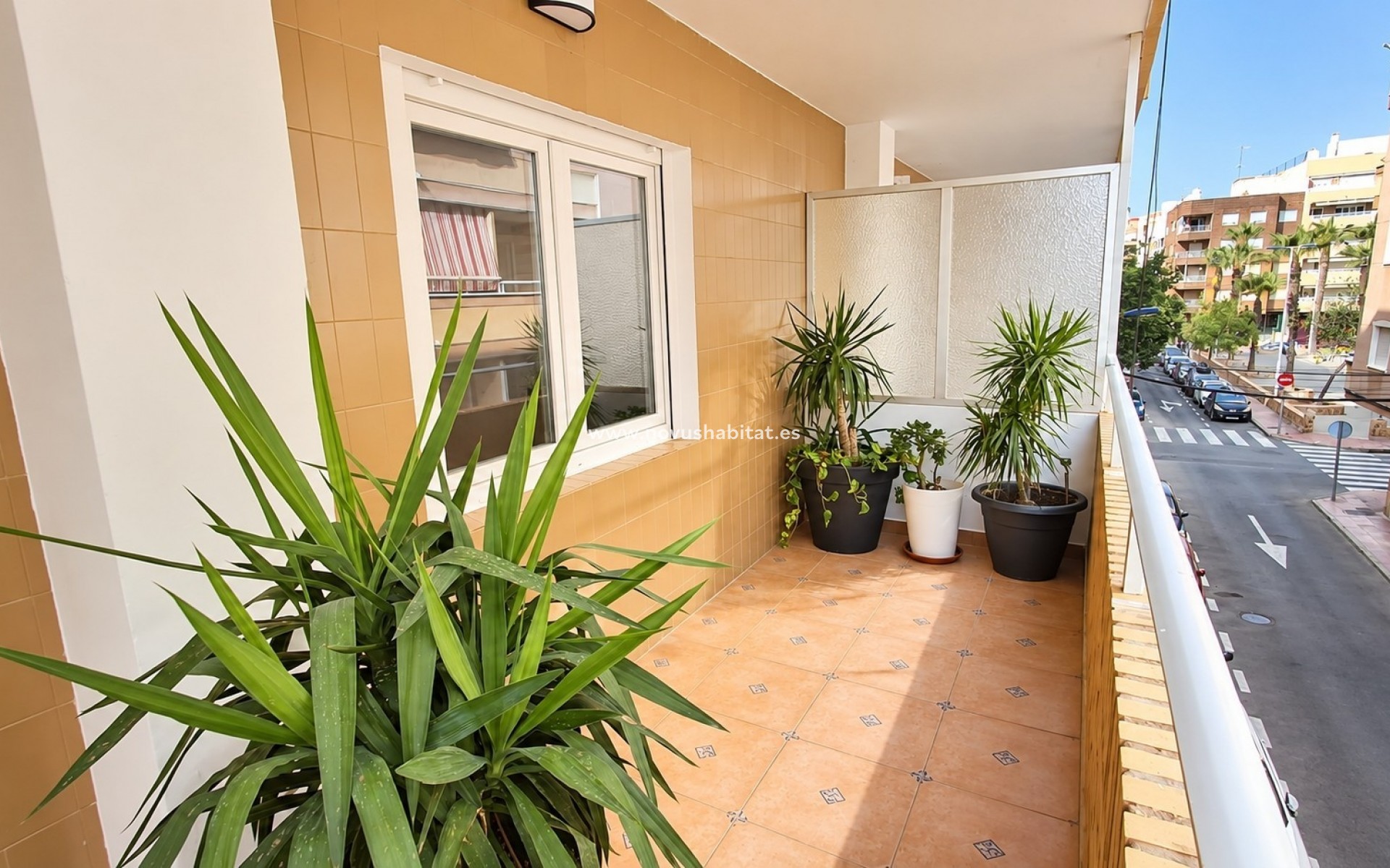 Sprzedaż - Apartment / Duplex - Torrevieja