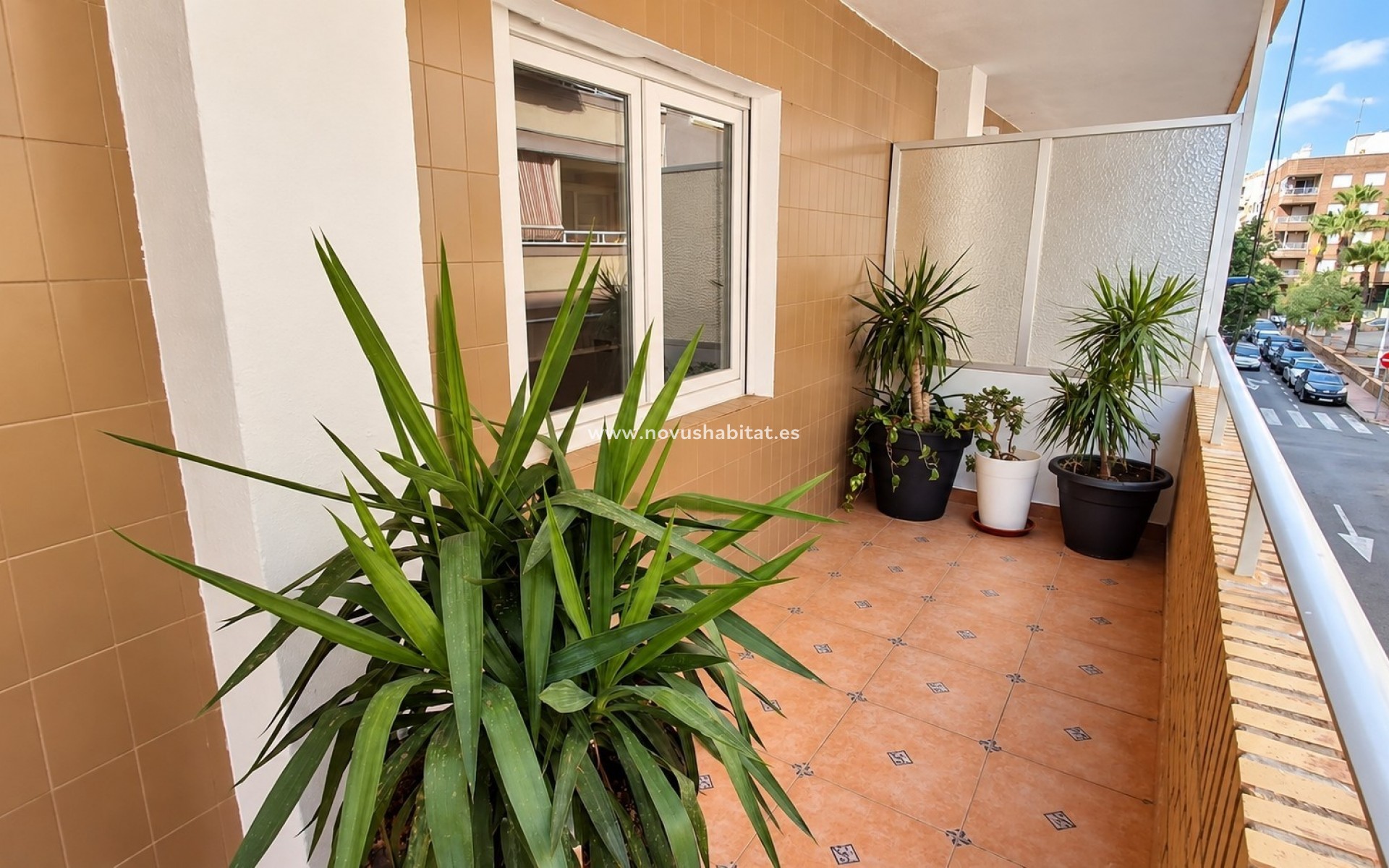 Sprzedaż - Apartment / Duplex - Torrevieja