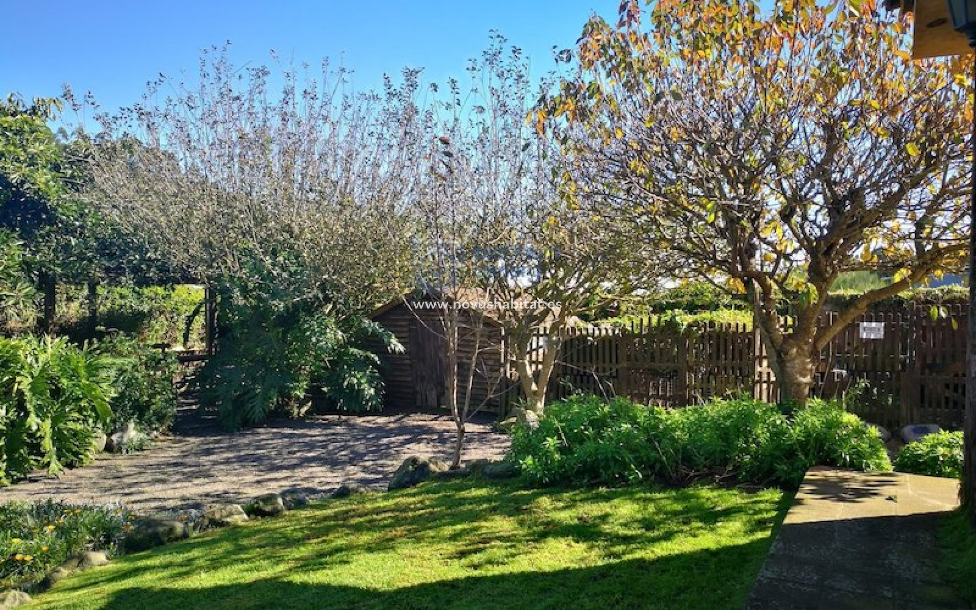 Sprzedaż - house - La Esperanza - Santa Cruz Tenerife