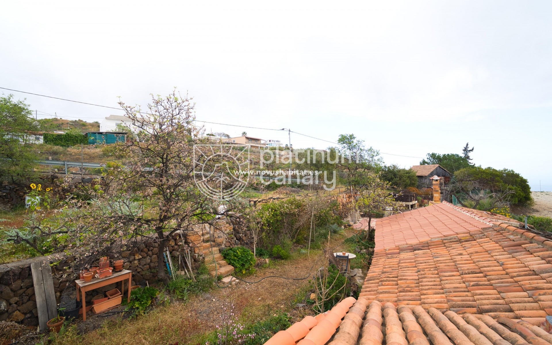 Sprzedaż - house - Vilaflor - Santa Cruz Tenerife