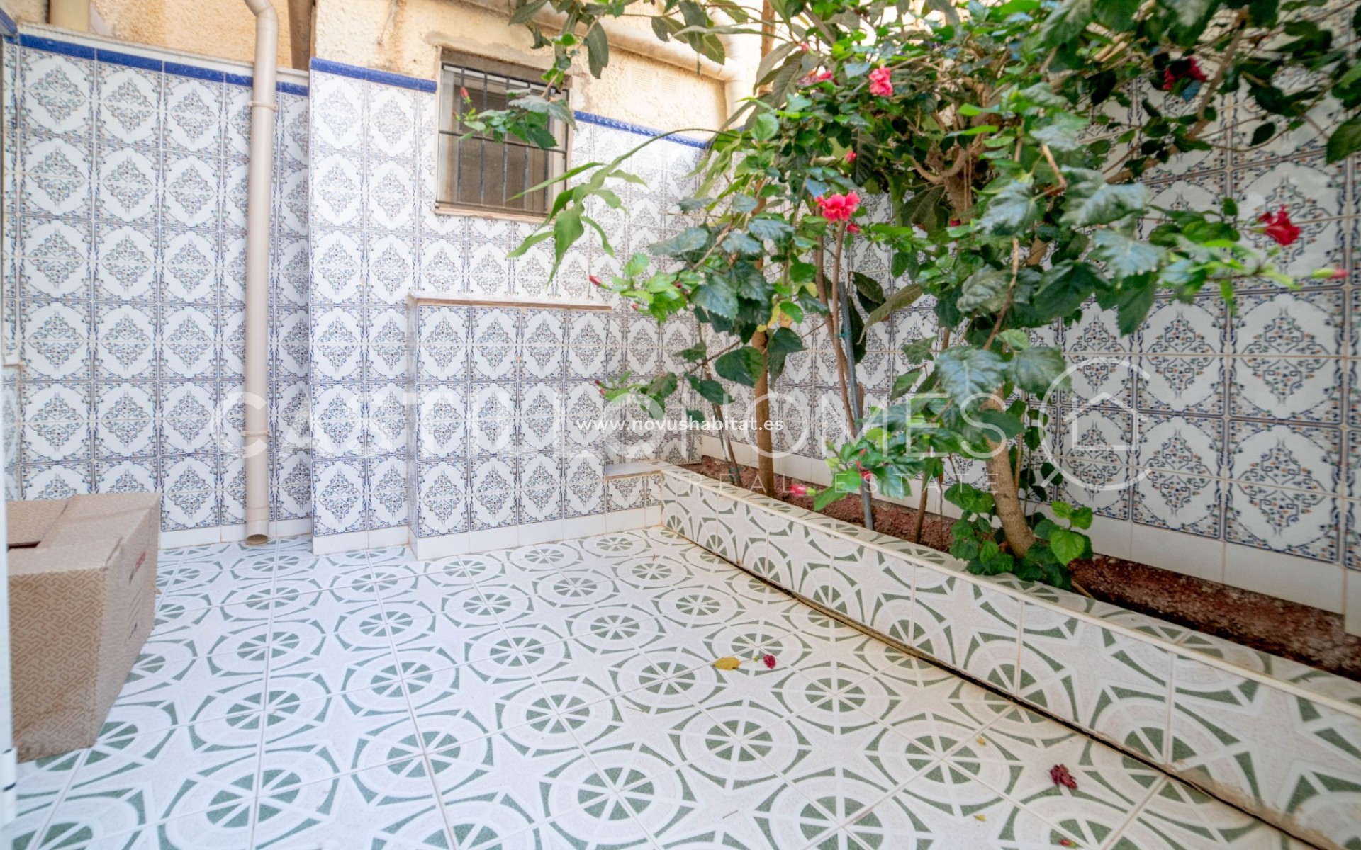 Sprzedaż - Kamienica - Torrevieja - La Mata