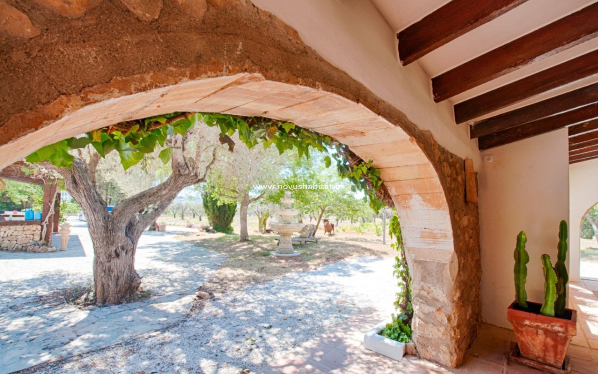 Sprzedaż - Plot - Senija - Campo