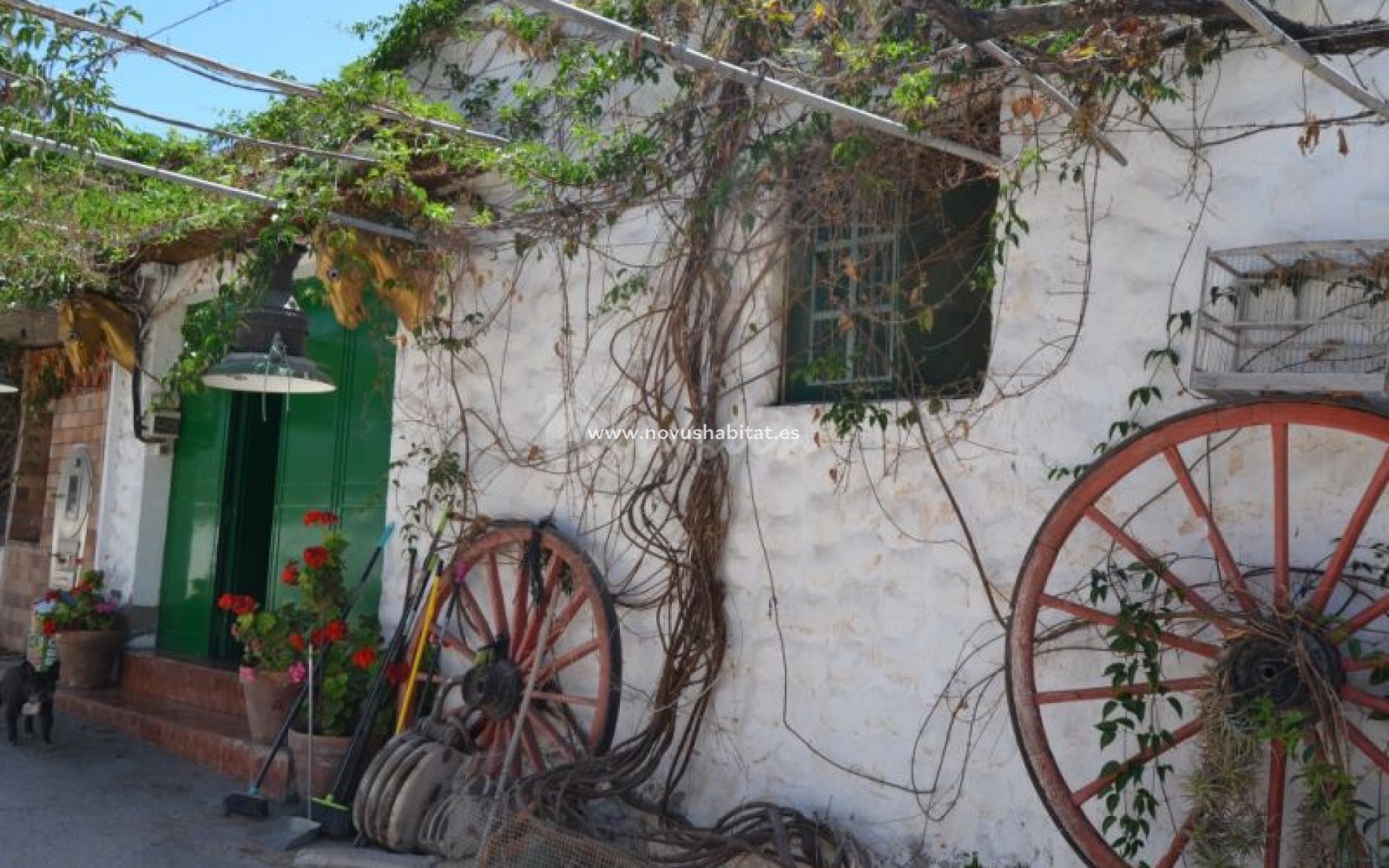 Sprzedaż -  Willa - Buzanada - Buzanada Tenerife