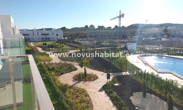 Stadthaus - Neue Gebäude - Orihuela - 