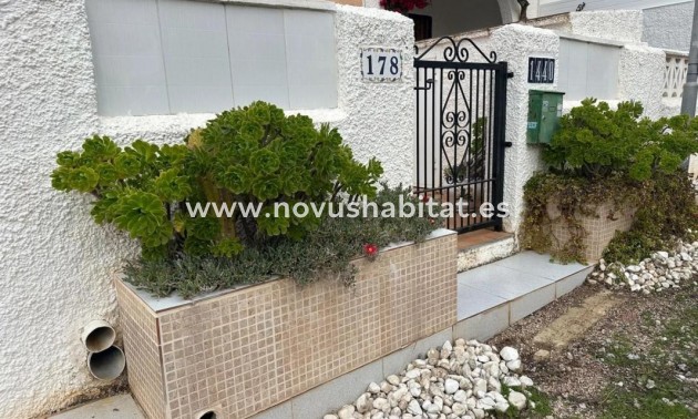 Terraced houses - Nowa inwestycja - Torrevieja - Torrevieja