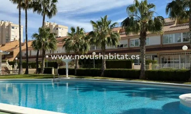 Terraced houses - Nueva construcción  - Alicante - Alicante