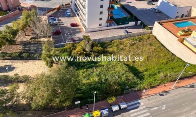 Urban - Neue Gebäude - Guardamar del Segura - Guardamar del Segura
