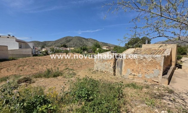 Urban - New Build - Hondón de las Nieves - Hondón de las Nieves