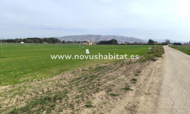 Urban - New Build - Villena - Villena