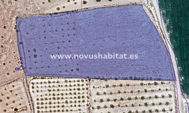 Urban - Nueva construcción  - Pinoso - Pinoso