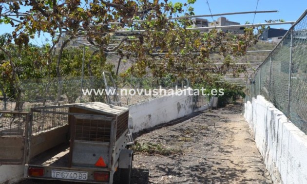 Villa - Endursala - Buzanada - Buzanada Tenerife