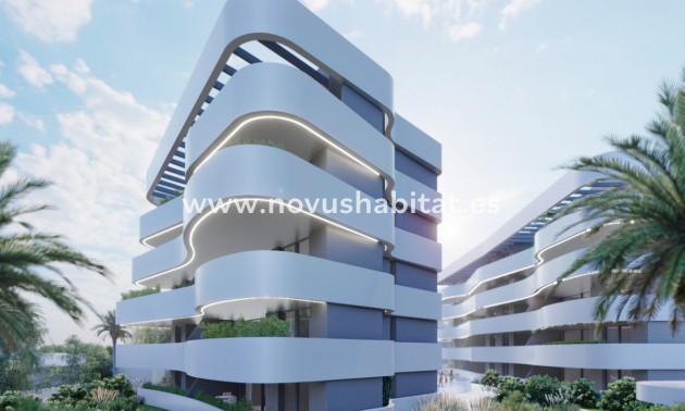 Villa - Neue Gebäude - Guardamar del Segura - Guardamar del Segura