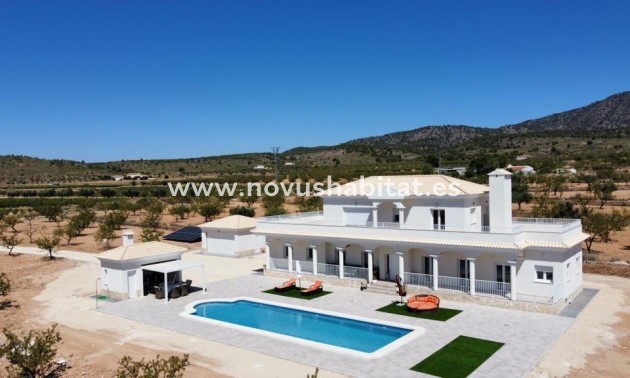 Villa - Nouvelle construction - Pinoso - Pinoso