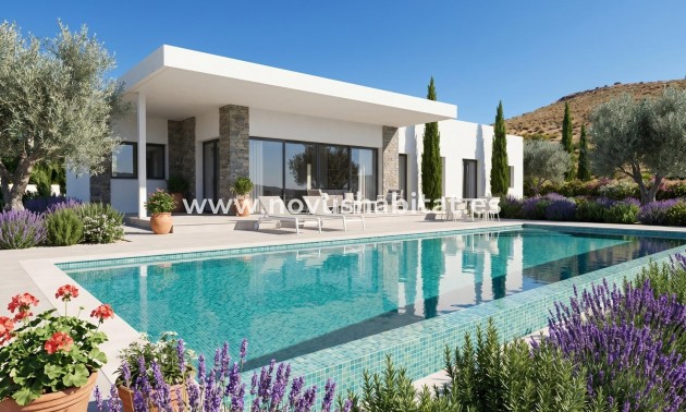 Villa - Nueva construcción  - Pinoso - Pinoso