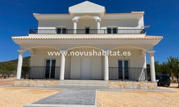 Villa - Nueva construcción  - Pinoso - REDSPG-95096