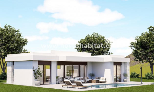 Villa - Nýbygging - Pinoso - Pinoso