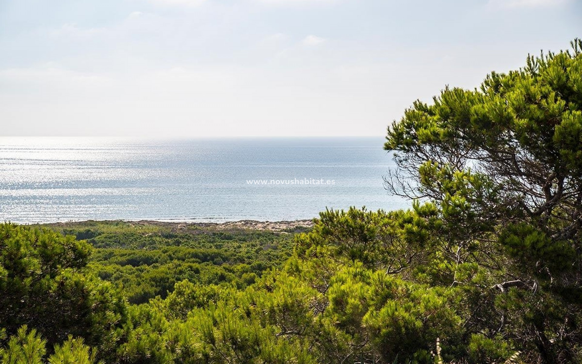 Wiederverkauf - Ático - Guardamar del Segura - 