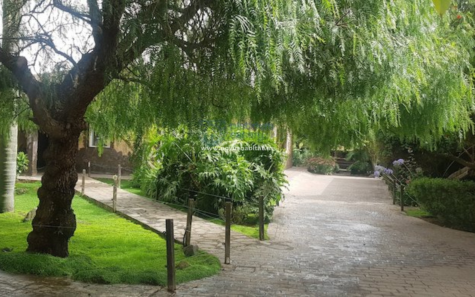 Wiederverkauf - house - La Esperanza - Santa Cruz Tenerife