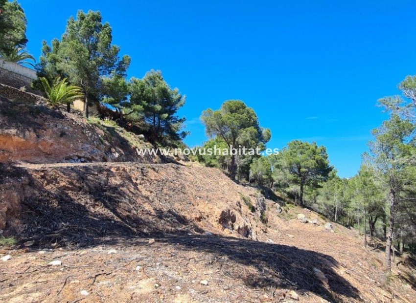 Wiederverkauf -  Paket - Calpe - 