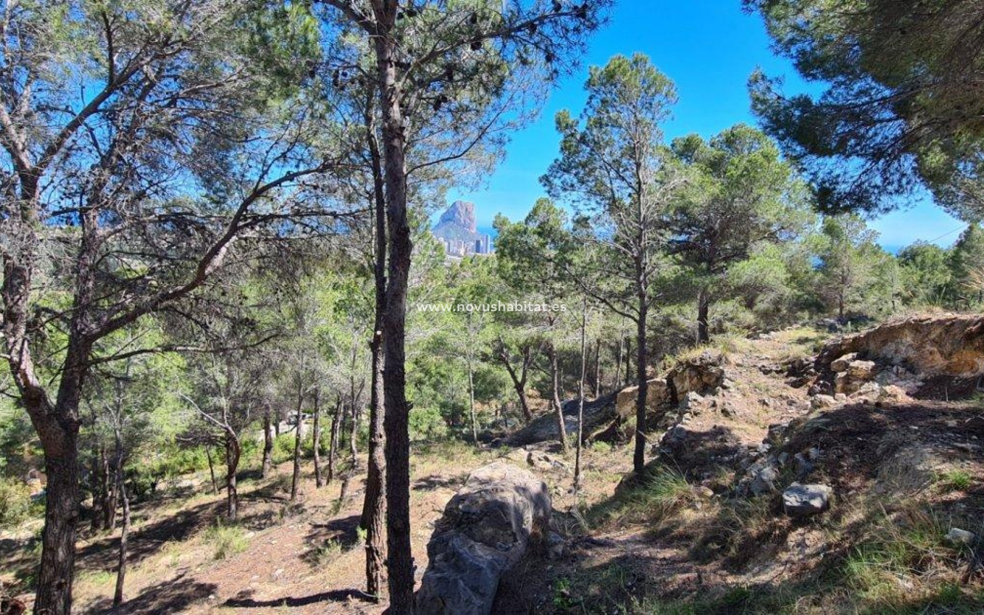 Wiederverkauf -  Paket - Calpe - 