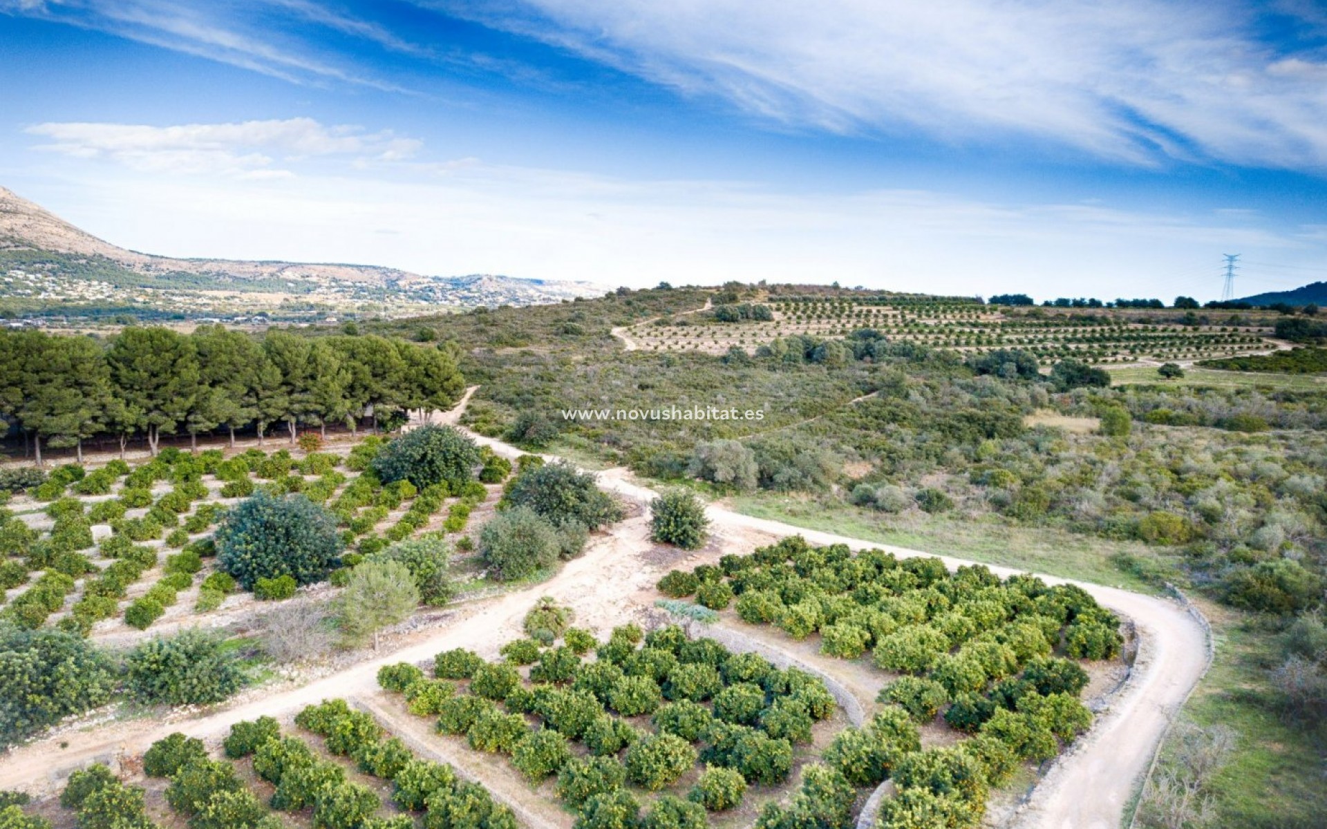 Wiederverkauf -  Paket - Gata de Gorgos