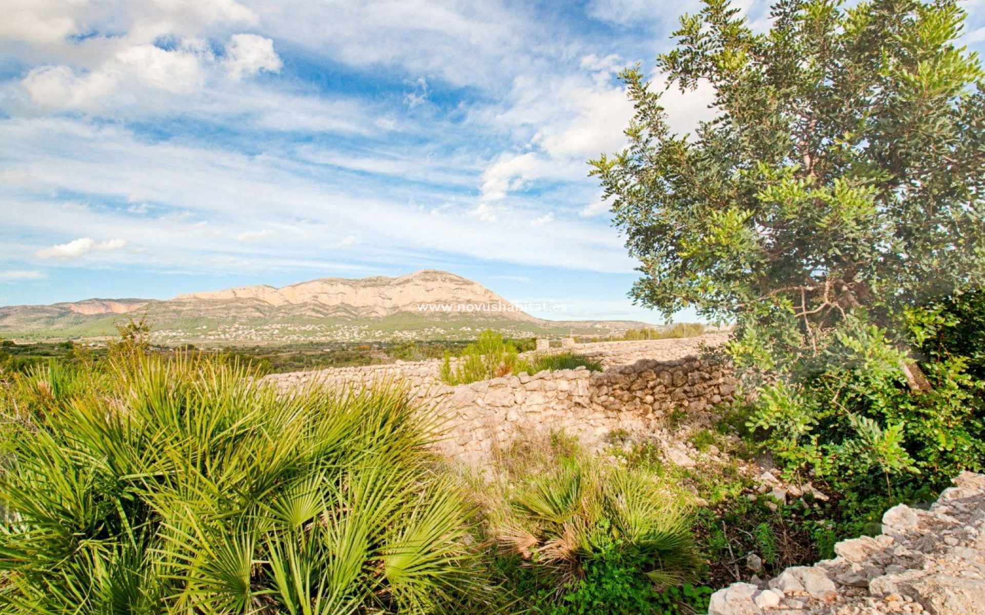 Wiederverkauf -  Paket - Gata de Gorgos