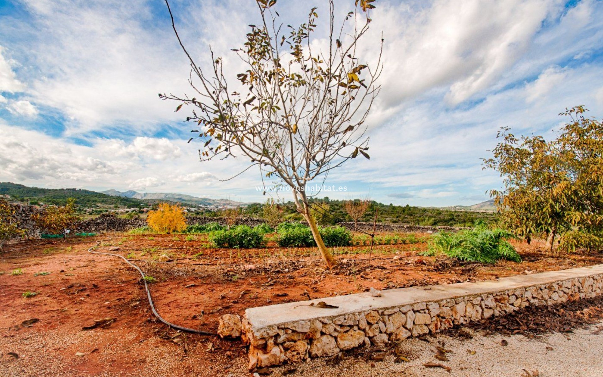 Wiederverkauf -  Paket - Gata de Gorgos