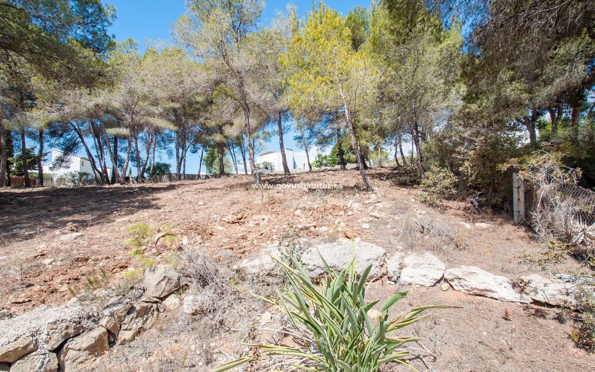 Wiederverkauf -  Paket - Moraira