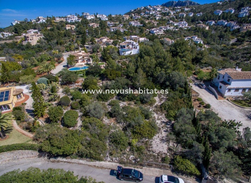 Wiederverkauf -  Paket - Pego