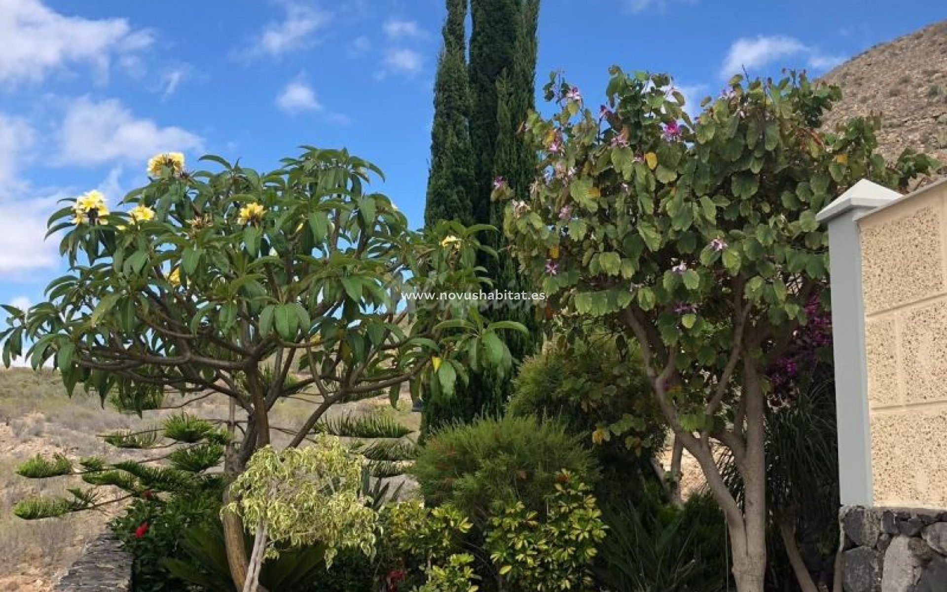 Wiederverkauf - Stadthaus - Los Cristianos - Mesetas Del Mar Los Cristianos